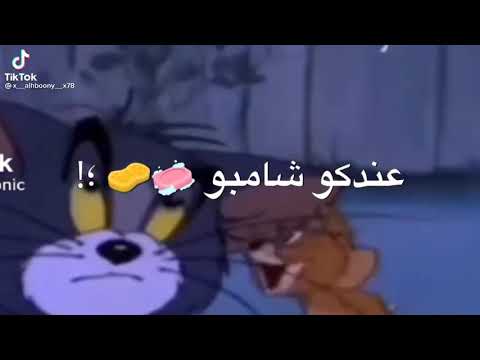 عندكم ش شامبو