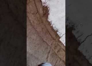 ودالسني
