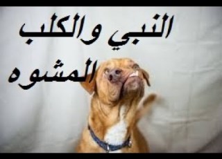  النبي الدي سخر من الكلب دو 4 رؤوس