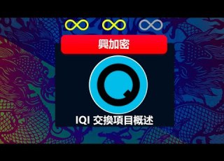  IQI 交換項目概述