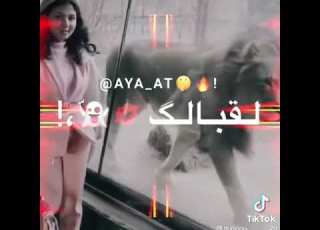  اجمل اغنيه نصيحه حطه بالك امشي واثق من حالك