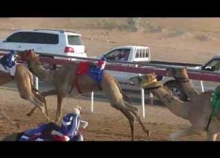  ميــدان الذيد شـ 8 حقاقة 11 11 20222 مضخوره لـ طالب على سالم على المحاربي التوقيت 4 31 54