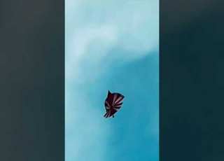  Rawalpindi Bassant Kitefestival Police 100million 2023 Bts Subscribe