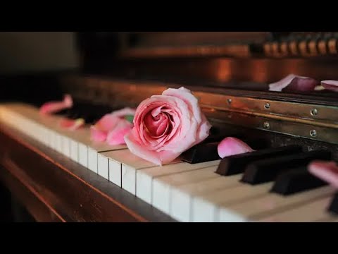 موسيقى هادئة للمتزوجين لأجمل ليلة رومانسية رومانسيه هادئه في الليل موسيقى رومانسية هادئة للمتزوج موسيقى هادئة للمتزوجين لأجمل ليلة رومانسية رومانسيه هادئه في الليل موسيقى رومانسية هادئة للمتزوج