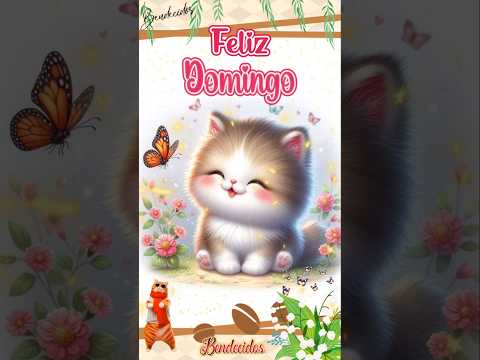 FELIZ DOMINGO BUENOS DIAS BENDICIONES FELIZ DOMINGO BUENOS DIAS BENDICIONES