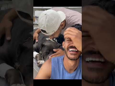 طه اسعد يبكي على كلبه