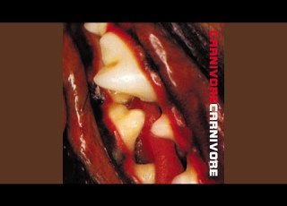 Carnivore