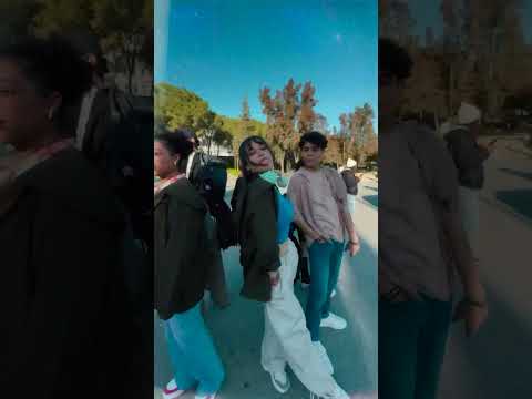 فلوجة الجزء الثاني