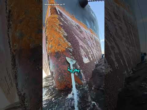 إزالة الكائنات البحرية القشرية من السفينة بطريقة م رضية وغريبة اكسبلور تقنية ترند