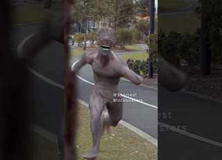  Playing Hide And Seek With A Creature