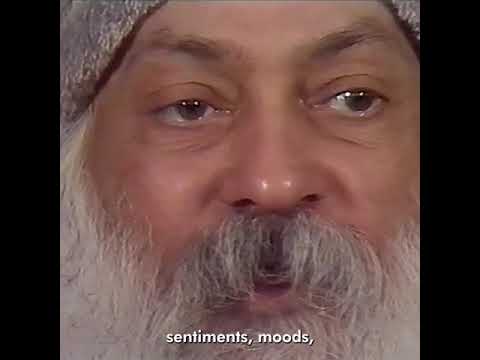 اوشو آرامش خاطر در لغت یک تناقض است اوشو آرامش خاطر در لغت یک تناقض است