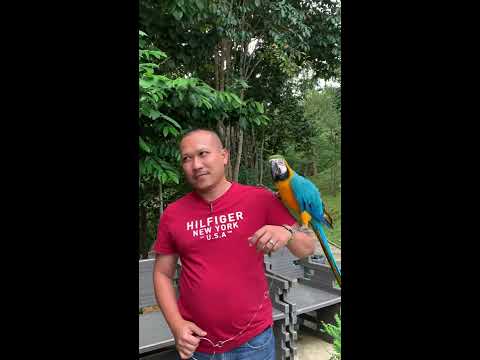 Lalang S Chalet Campsite