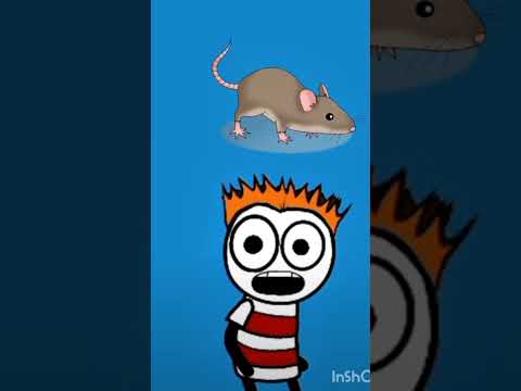 الدنيا دواره كوميدي Pageforyou ضحك