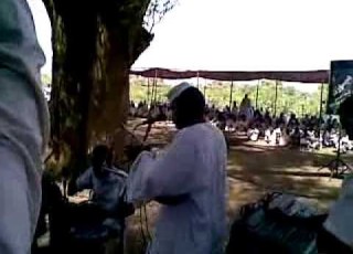 زمراوي