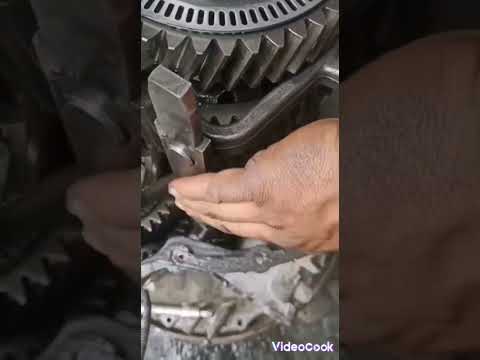 معلومات عن الفتيس الاكتروس ال 211