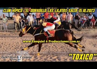  Tóxico Vs Negro Audaz