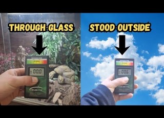  Is Sunlight Through A Window Enough UVB For Bearded Dragons The Truth