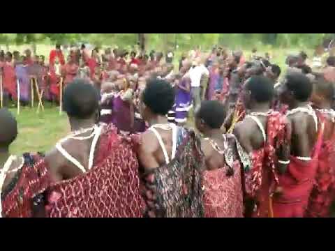 Maasai Ceremony In Melela Morogoro