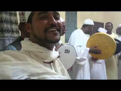 النسيم الهبة ليل جلسات محمود الضعيف