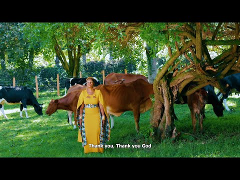 ASHE By JUDY MESOPIR Official 4k Video