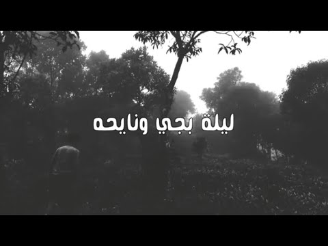 ليلة بجي ونايحه باسم الكربلائي