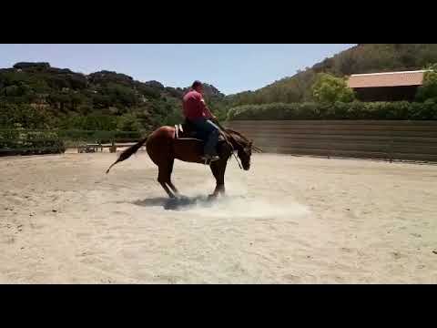 Lm Ale Gena Owner Casadonte Paola