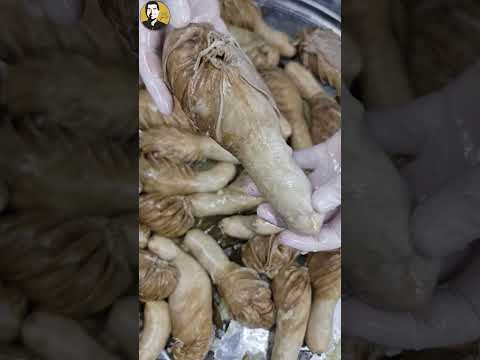 شيف أبو عمر القباوة المحشية حكاية عند البيت الدمشقي