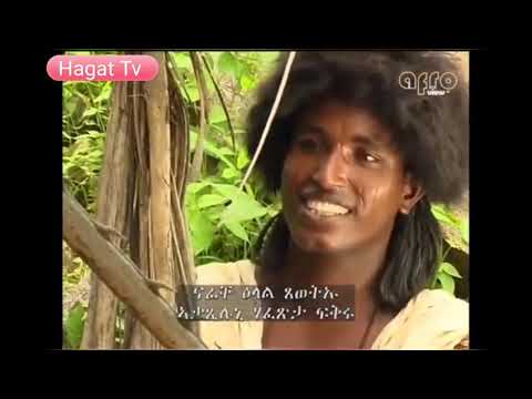 Wonderful Tigre Music Biet Menarish 2008