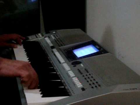 أكرهها كاظم الساهر عزف على الأورج