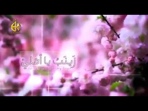 زينب يا أملي الحاج باسم الكربلائي