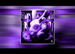 MGXTXM MONTAGEM RABBIT SUPER SLOWED