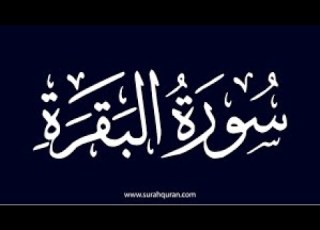 الصفحة ١٩ مكررة بصوت سعود الشريم