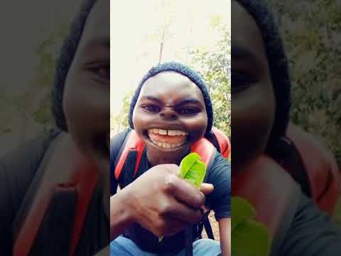 Bukusu Comedy Omupapa Vijana Wachana Kwenda Choo Msituni