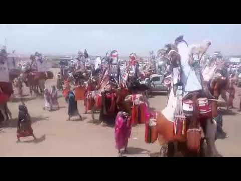 عرب الباديه الرحل شمال كردفان