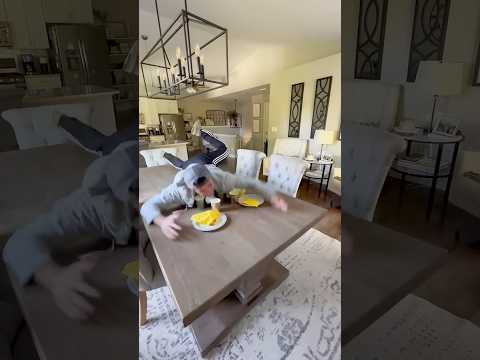 If Cleaning Was A Timed Sport Part 2