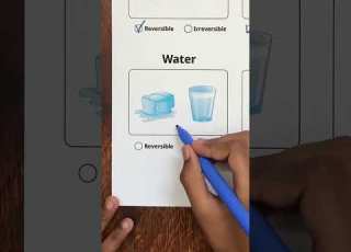 Reversible Vs Irreversible Process