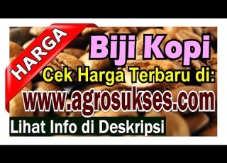 Update 2024 Daftar Harga Terbaru Biji Kopi Rp Daftar Pembeli Penjual