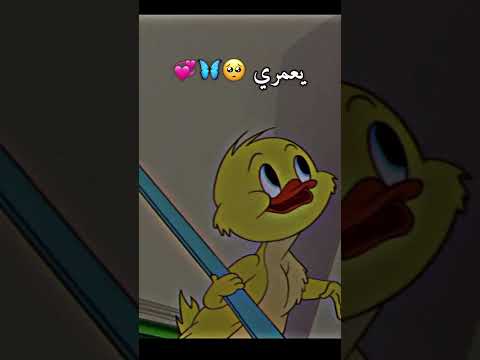 احلى مقاطع حب قصيره اسم مريم حالات رومانسية اغاني حب حالات واتس اب 2023 ستوريـات انستقرام