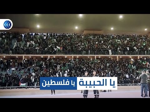 يا لحبيبة يا فلسطين أغنية جمهور الرجاء المغربي تشعل المدرجات يا لحبيبة يا فلسطين أغنية جمهور الرجاء المغربي تشعل المدرجات