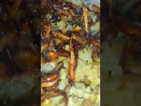 باب الحارة معتز وام عصام وائل شرف صباح الجزائري مجدرة البرغل أطيب أكلة بهالشتوية