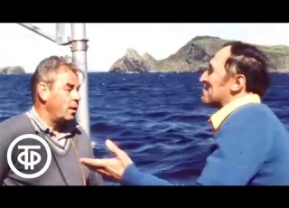  В мире животных Морской заповедник животный мир Приморья Эфир 8 января 1983