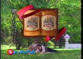 Japanese Commercial Logos Of The 1980 S 2000 S Season 2 PART 41
