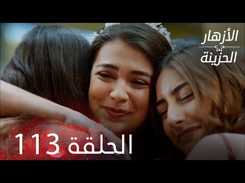 الأزهار الحزينة الحلقة 113 كاملة الأخيرة Kırgın Çiçekler