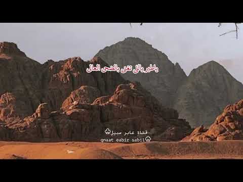 ياطير ياللي تغني بالضحى العالي ناصر المري قناة عابر سبيل قديم ونادر