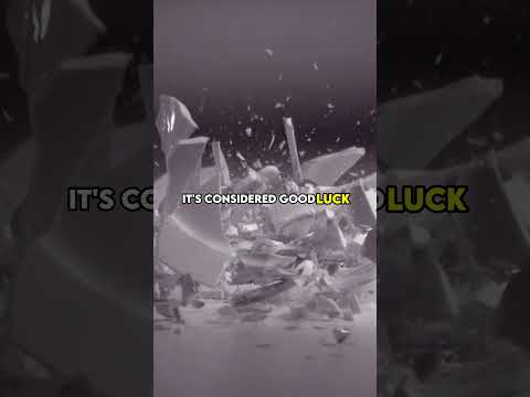 Breaking Plates In Denmark Is Considered Good Luck Shorts