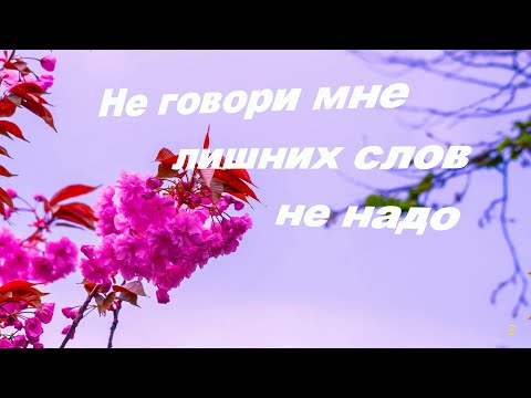 Не говори мне лишних слов не надо лучшие песни Best Songs