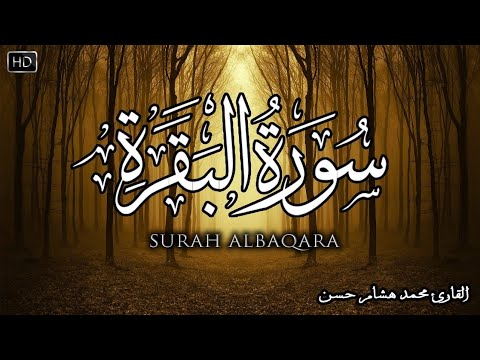 سورة البقرة كاملة القارئ محمد هشام Surah Al Baqarah محمد هشام Mohamed Hesham