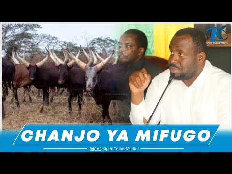 CHANJO YA MIFUGO MOROGORO DC KILAKALA ATOA MAAGIZO MIGOGORO YA WAKULIMA NA WAFUGAJI