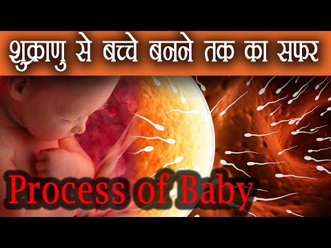 The Journey From Shukranu To Becoming A Child Video Hindi How Does Conception Happen How Is A Bab