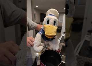  Donald Ducc POV You Re Home Alone At 3 AM